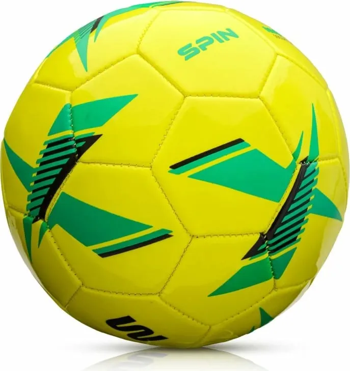 Pamja 4