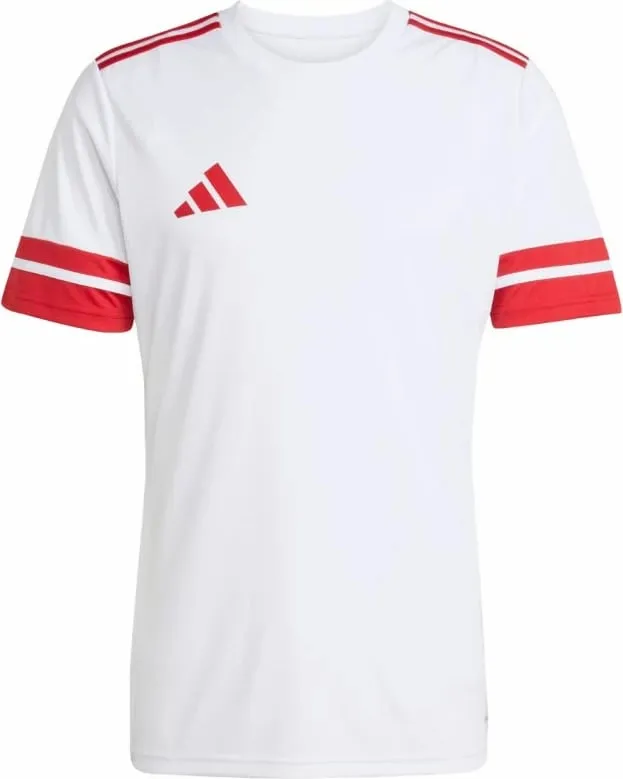 Pamja 1