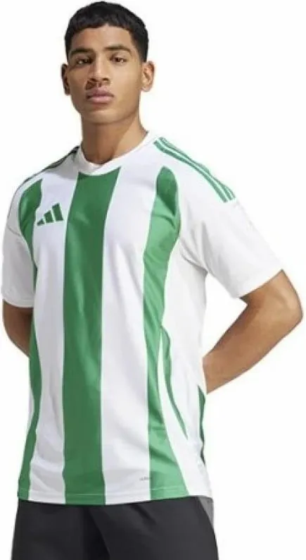 Pamja 1