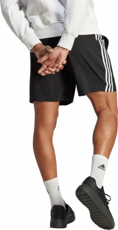 Pamja 3