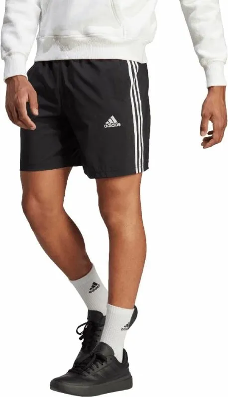 Pamja 4