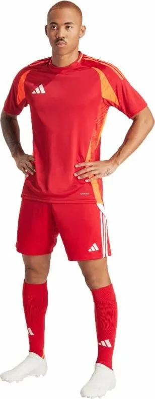 Pamja 9