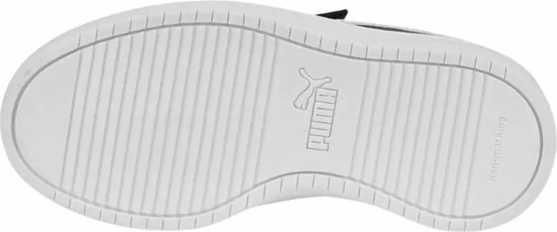 Pamja 5