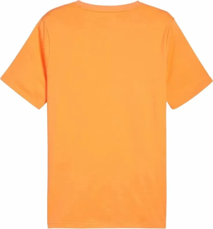 Pamja 3