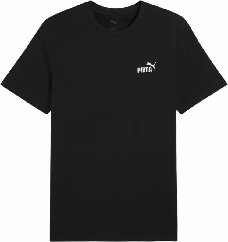 Pamja 1