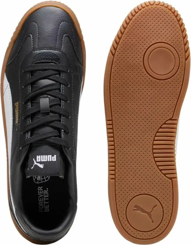 Pamja 4