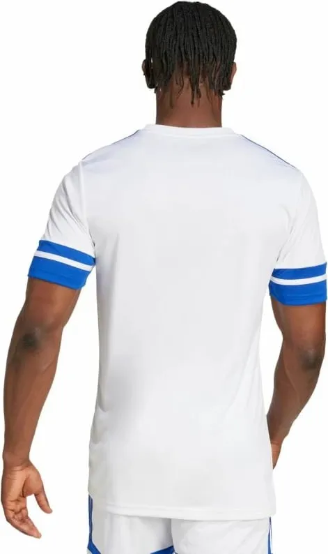 Pamja 4