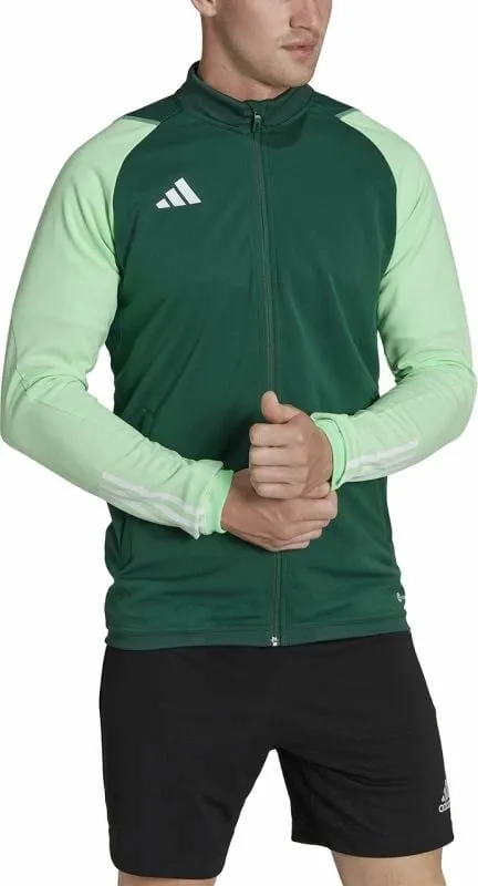 Pamja 2
