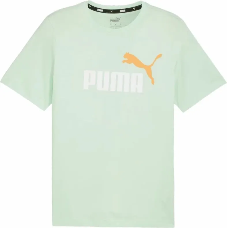 Pamja 2