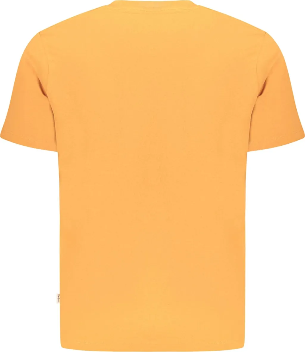 Pamja 2