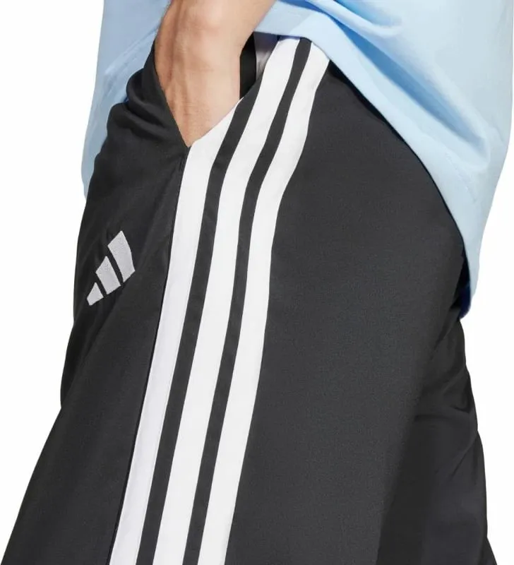 Pamja 3