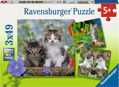 Puzzle Ravensburger, 3 x 49 pjesë - 1