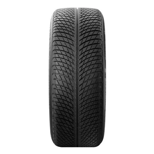 Goma Dimri MICHELIN 295/35 R21 107VXL PA5 SUV - 2