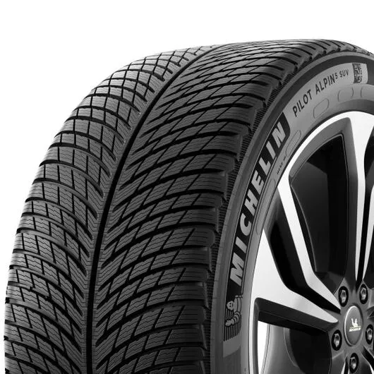 Goma Dimri MICHELIN 295/35 R21 107VXL PA5 SUV - 3