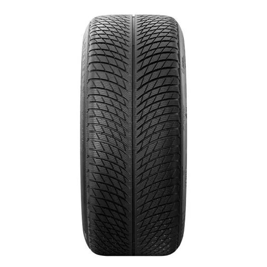 Goma Dimri MICHELIN 315/30 R21 105VXL PA5 - 2