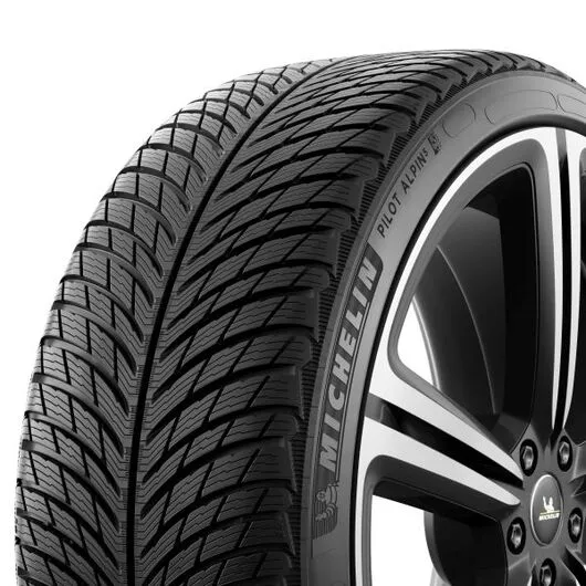 Goma Dimri MICHELIN 315/30 R21 105VXL PA5 - 3