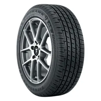 Goma dimri Firestone 225/55 R16 WH4 99H XL TL LAML