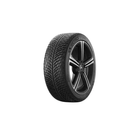 Goma Dimri MICHELIN 225/35R19 88WXL PA5 - 1