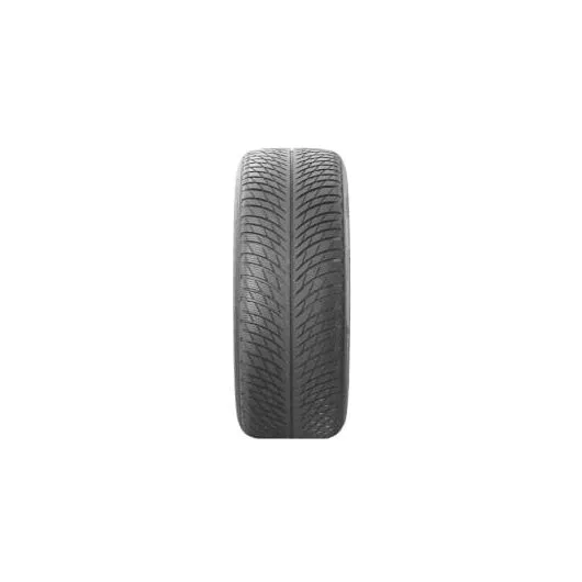 Goma Dimri MICHELIN 225/35R19 88WXL PA5 - 2