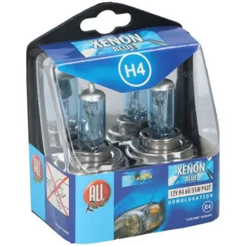 Set Poqa Xenon Kalter H4 12V