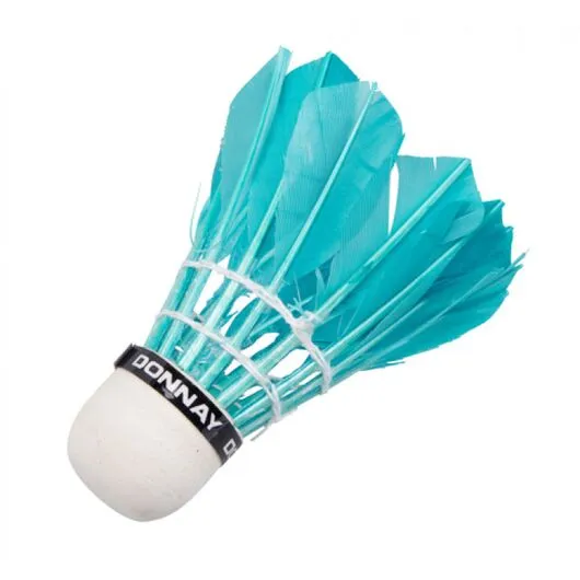 Set badminton - 4