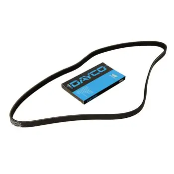 Rrip Alternatori DAY4PK805 Dayco