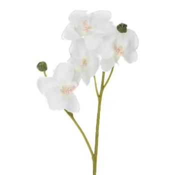 Lule orkide e bardhe dekoruese 37cm