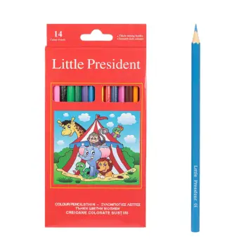Bojra druri little president 14cp