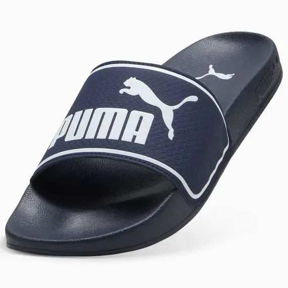 Pamja 5