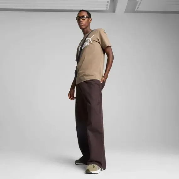 Pamja 3