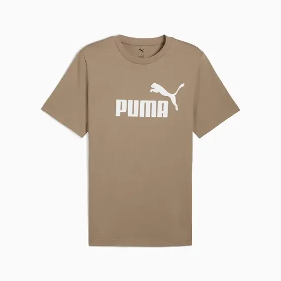 Pamja 4