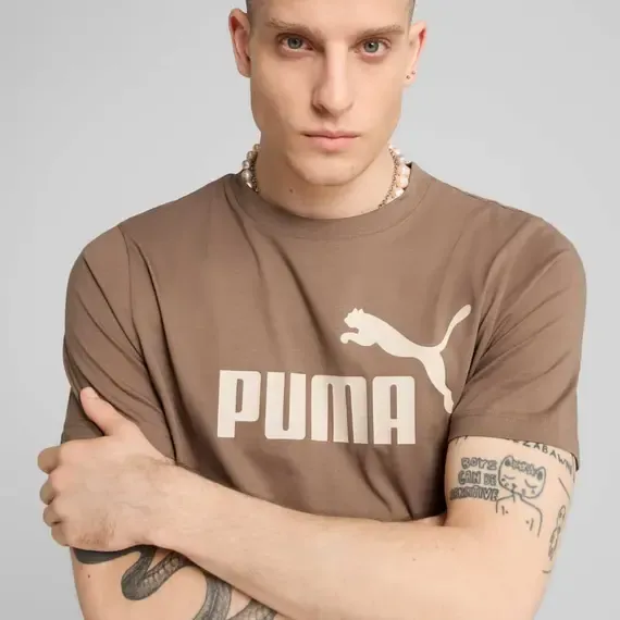 Pamja 3