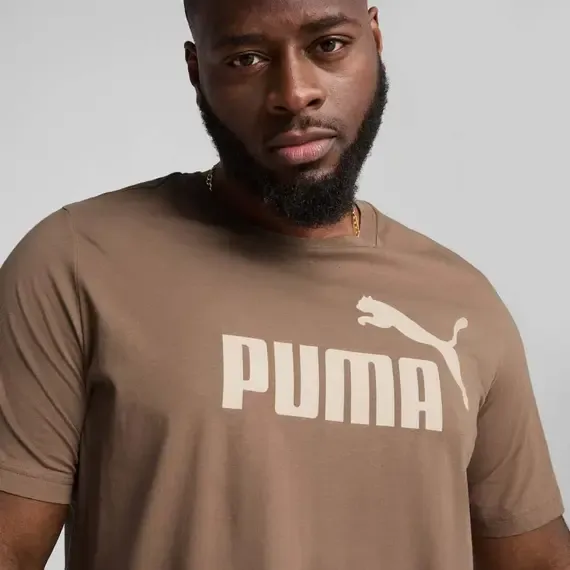 Pamja 4