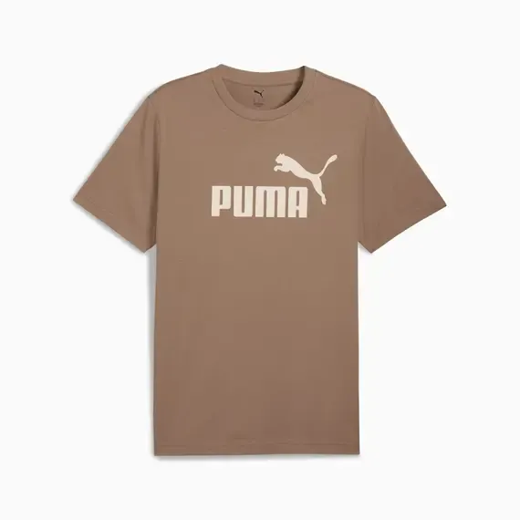 Pamja 6