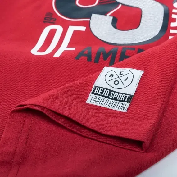 Pamja 5