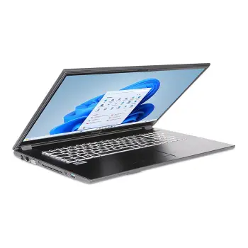 Laptop Terra Mobile 1716R / i3-1315U / 8GB DDR4 / 500GB / 17.3″ Full HD LED / UHD Graphics – Gri