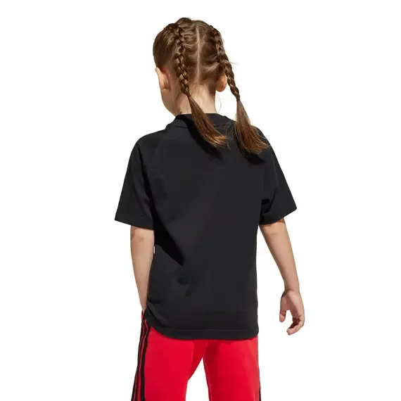 Pamja 2