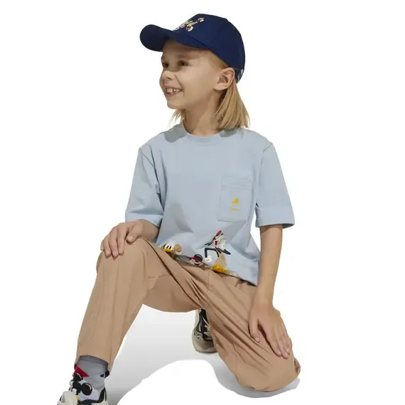 Pamja 4