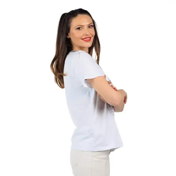 Pamja 2