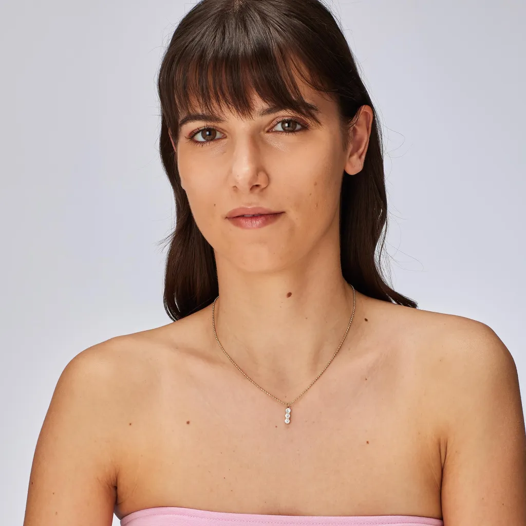 Pamja 2