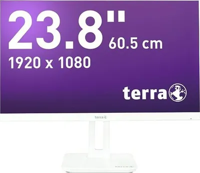 Pamja 1