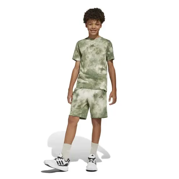 Pamja 3