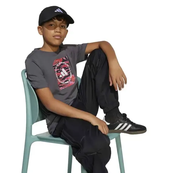 Pamja 4
