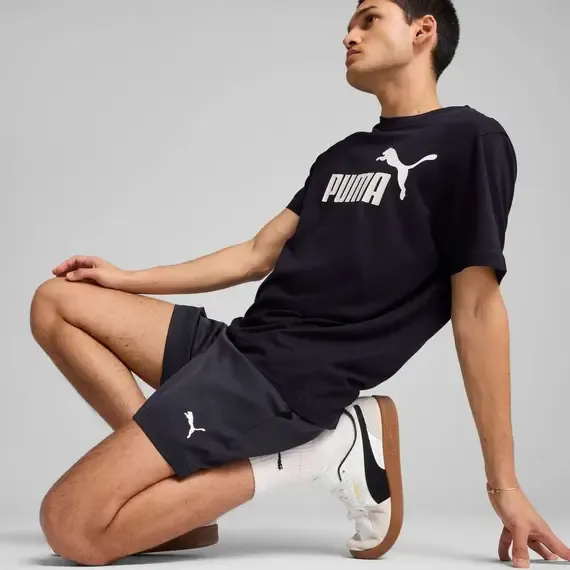 Pamja 4