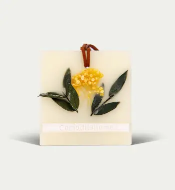 Aromatizues dylli