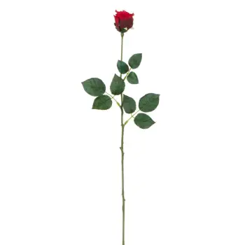 Lule Dekoruese Gonxhe Trëndafili I Kuq 60 Cm