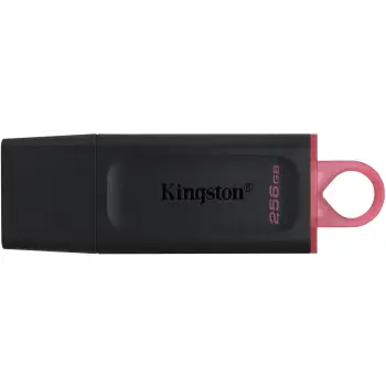 USB Kingston DataTraveler Exodia / 256GB / 3.2 / E zezë dhe rozë