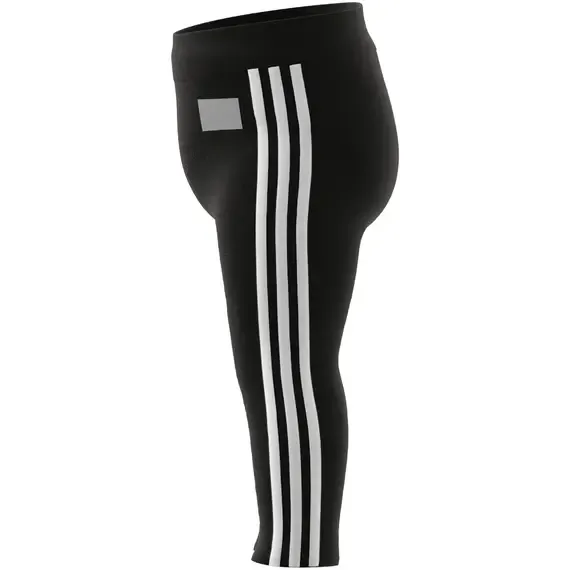 Pamja 10