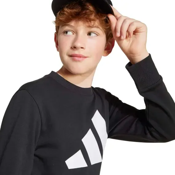 Pamja 4