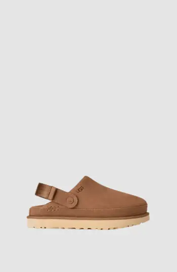 Goldenstar Clog